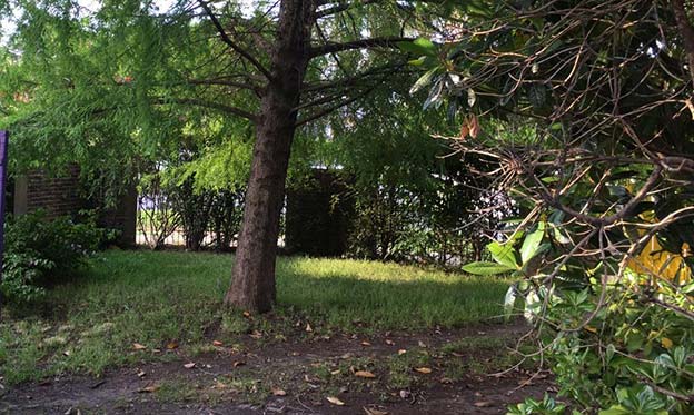 Parque